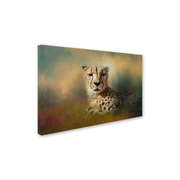 Jai Johnson 'Cheetah Enjoying A Summer Day' Canvas Art,30x47